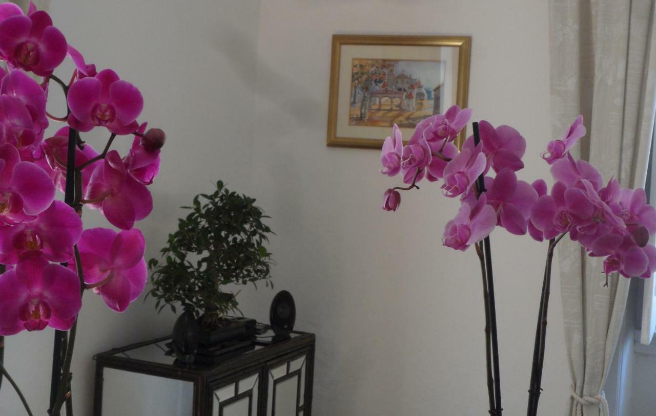 Casa Coimbra Hotel Eksteriør billede